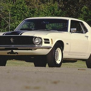 Meet your Posher, Ollie